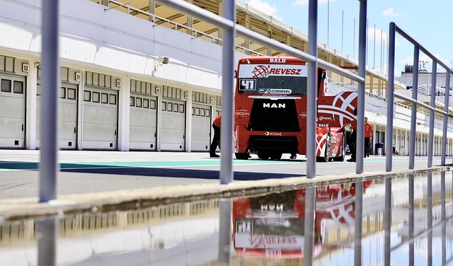 帮助公牛队 帮助公牛队