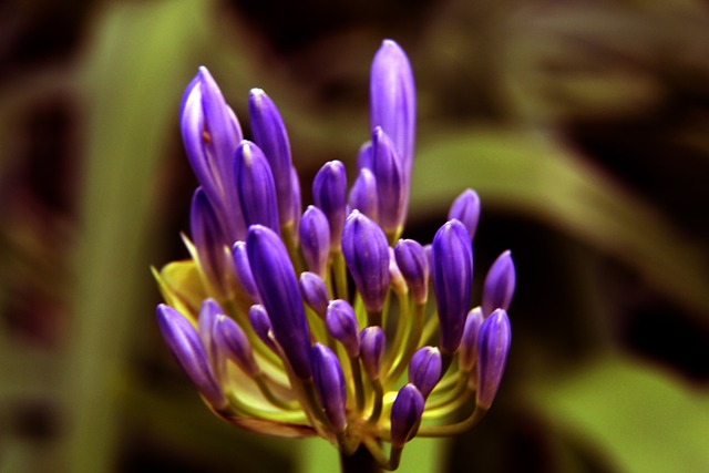 和汤普森在 和汤普森在