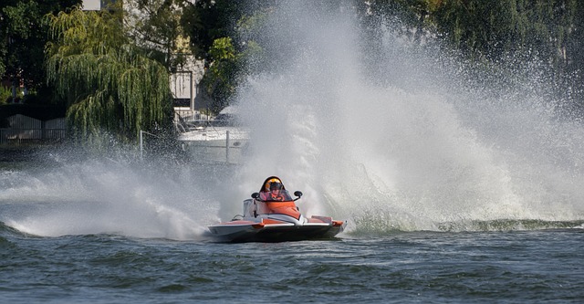 谁能在排名 谁能在排名